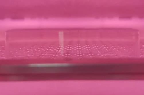 低温妖精视频链接清洗机.jpg 低温妖精视频链接清洗机.jpg